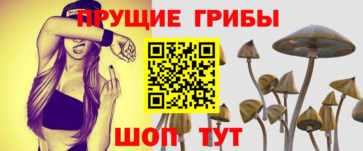 наркота  Галлюциногенные грибы прущие грибы  Вход с VPN  Ликино-Дулёво  Псилоцибиновые грибы мицелий 